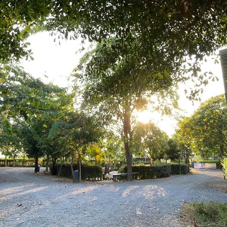 Chai Nat Baan Tonjaeng Resort מראה חיצוני תמונה